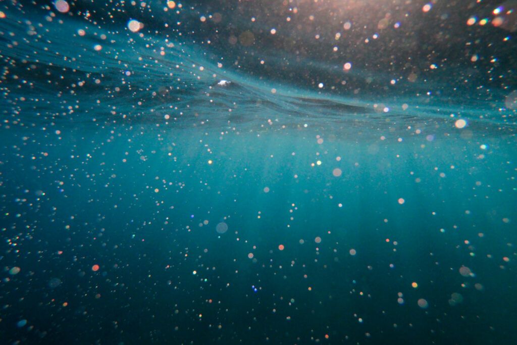 Underwater POV
