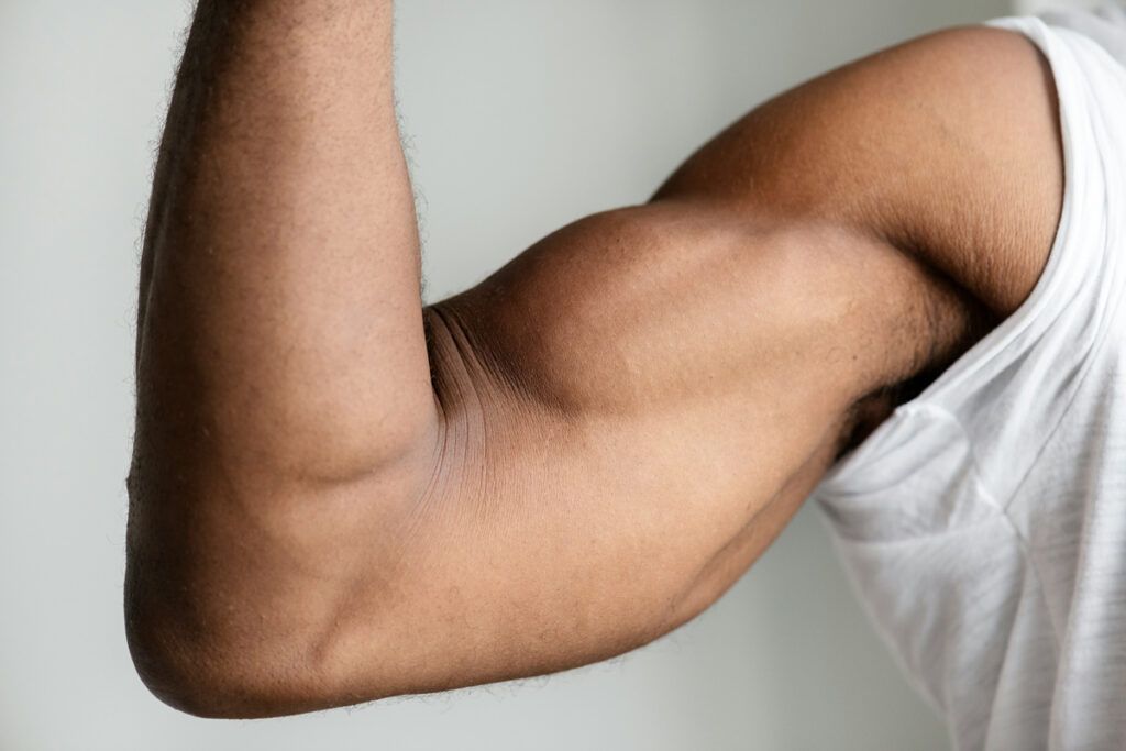 An arm with biceps flexed