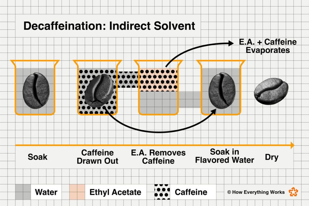 Diagram of how indirect solvent decaf process works