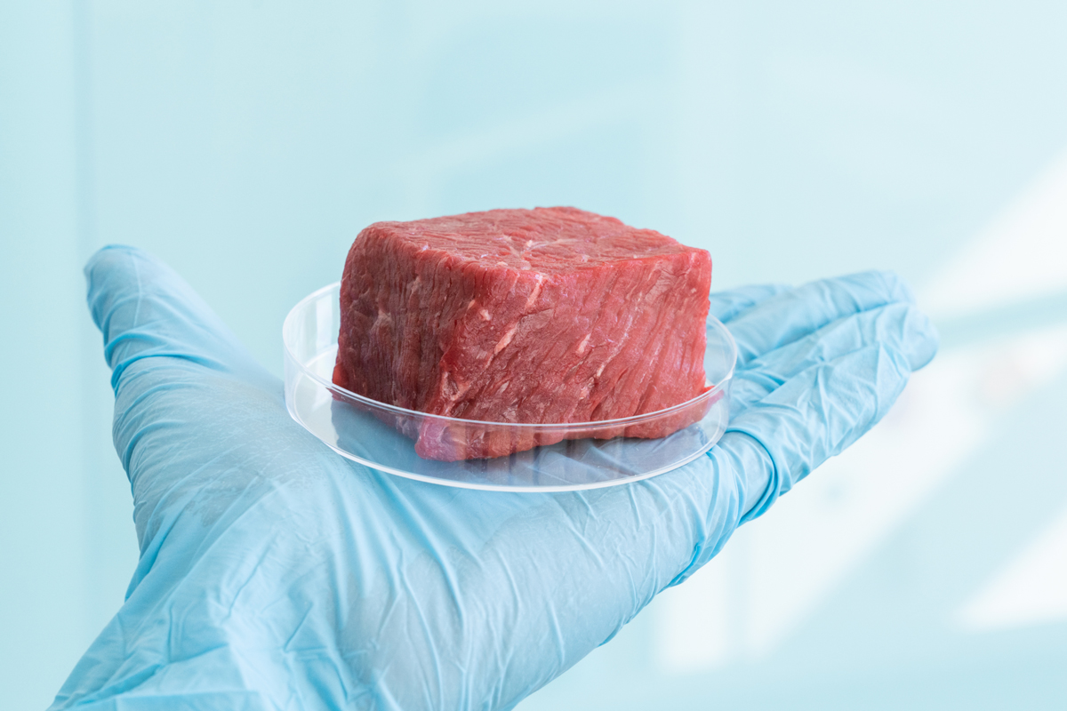 Cube of lab-grown meat