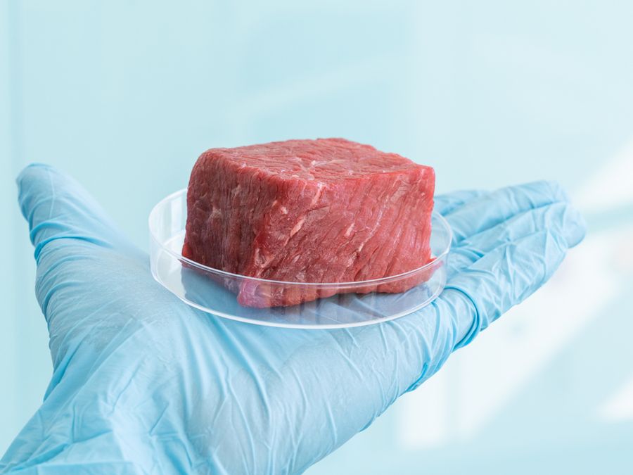 Could You Tell if Your Burger Was Grown in a Lab?