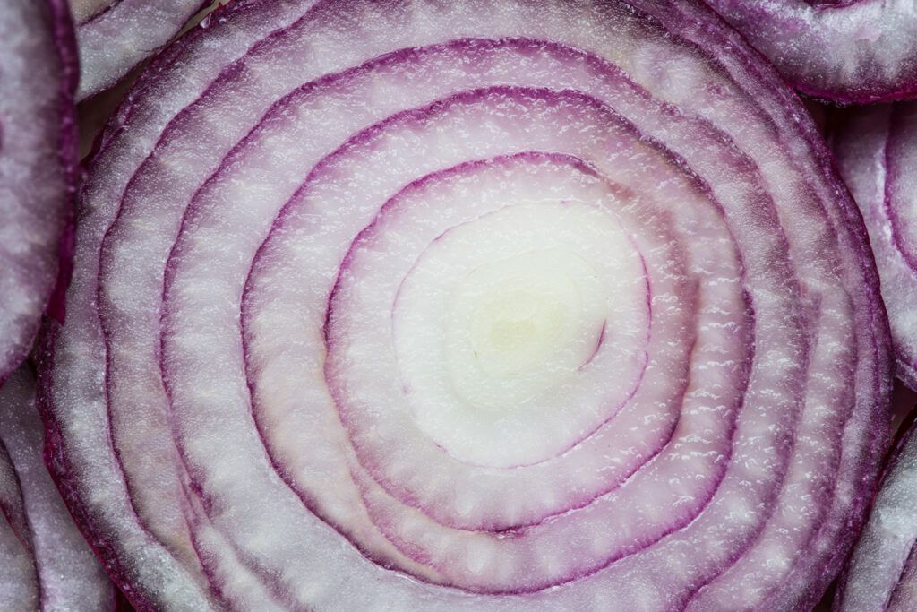 Cross-section of red onion