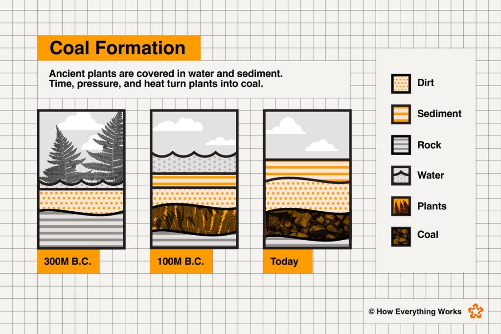 Diagram of how coal forms