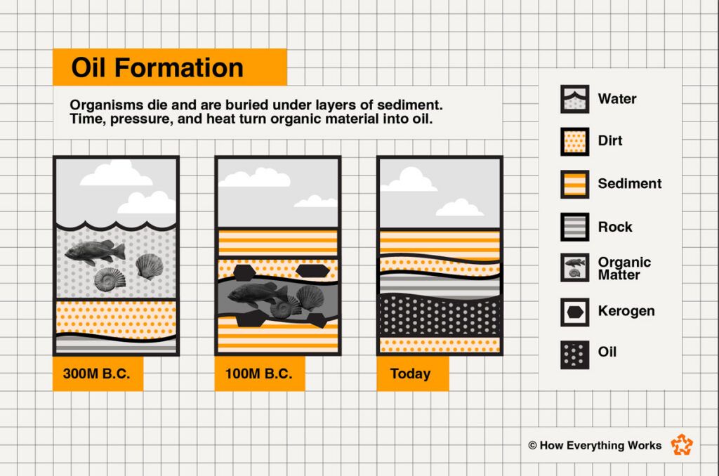 Diagram of how oil forms