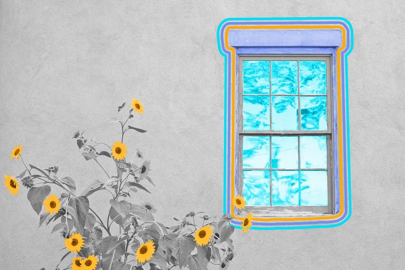 Britain used to have a special tax on windows.