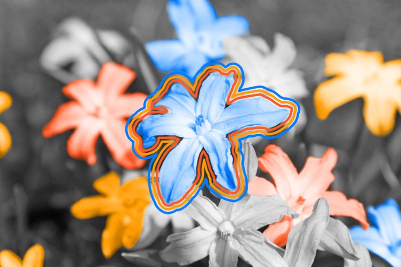 Memorial Day’s date has to do with flowers.