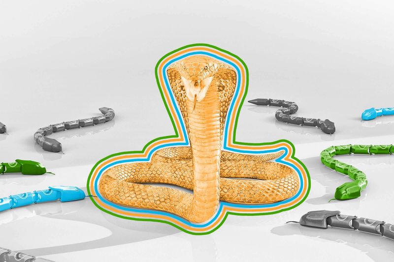 There are no endemic snakes in Ireland.