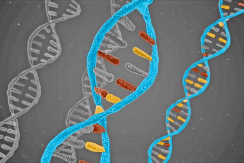 Close-up on a strand of DNA