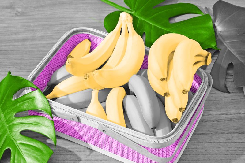 Basket of bananas surrounded by tropical leaves