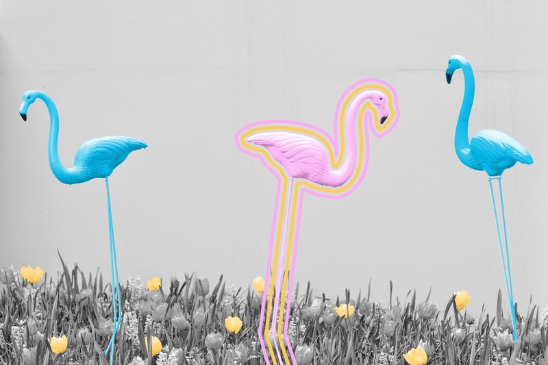 Plastic flamingo lawn ornaments