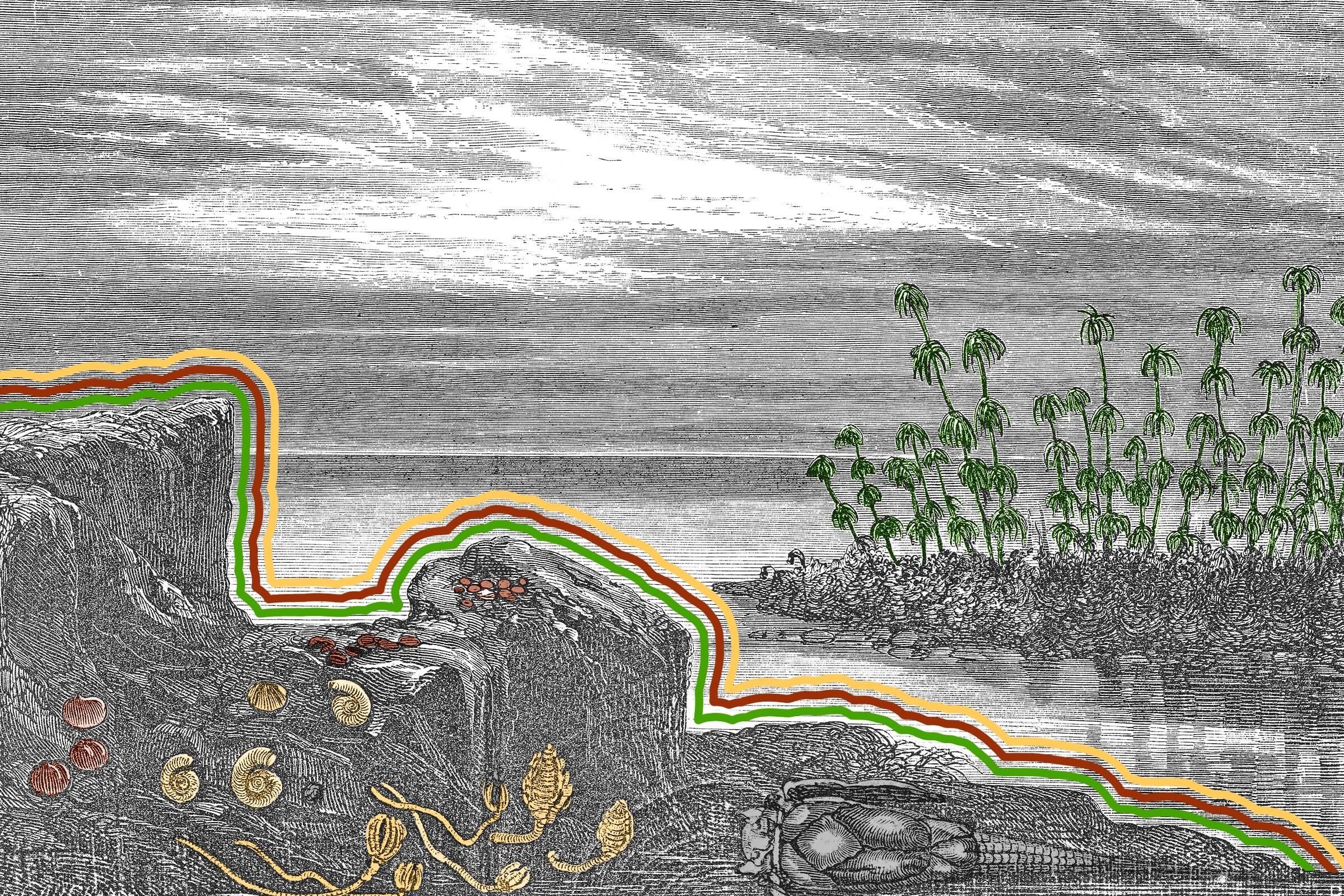 Landscape of the Earth during the Devonian Period