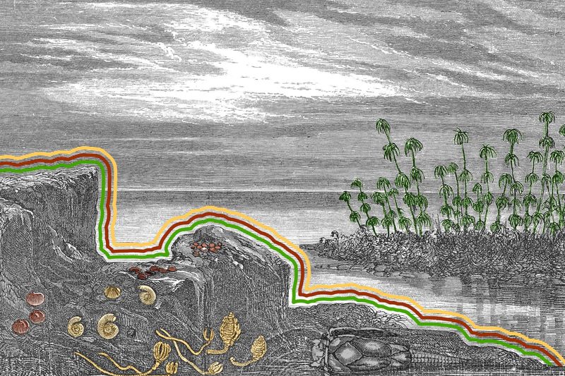 Landscape of the Earth during the Devonian Period