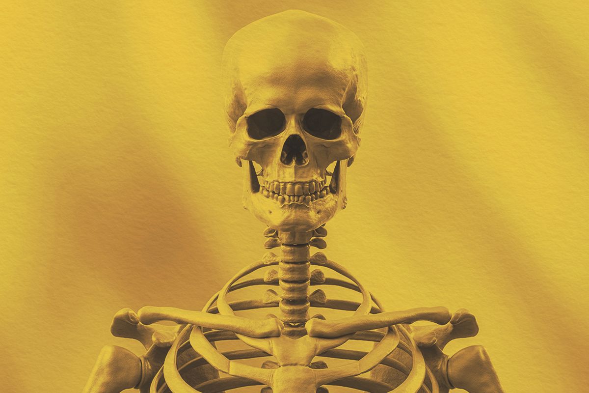 The upper half of a human skeleton