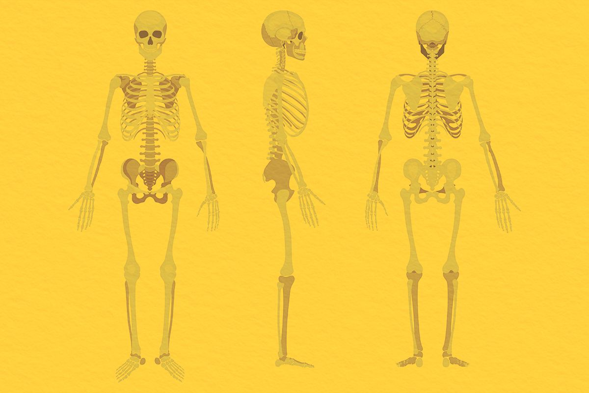 Why Do We Say ‘Costs an Arm and a Leg’?