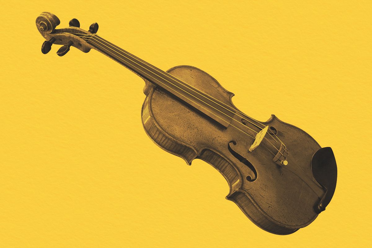 Fiddle instrument