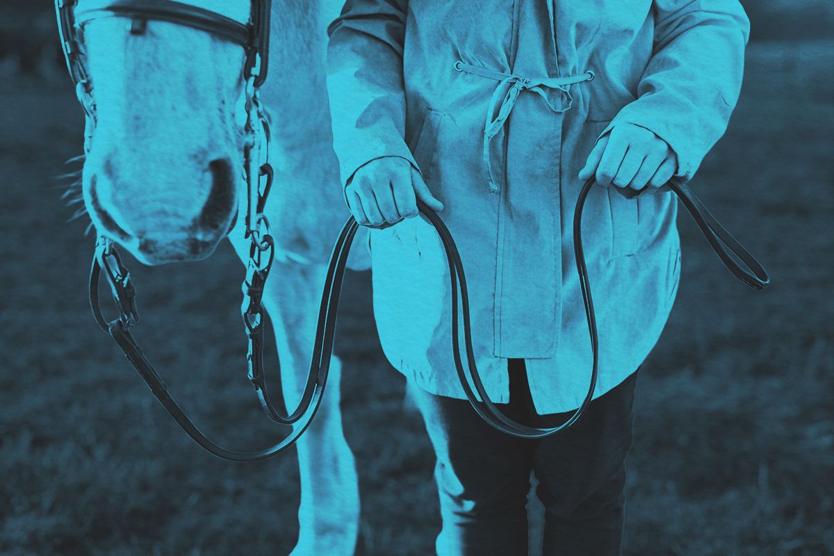 Cropped shot of a woman preparing to ride her horse on a farm